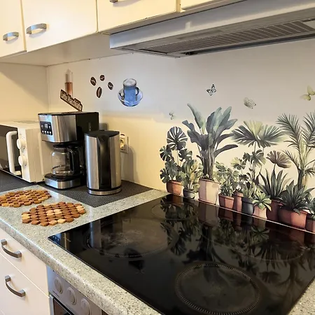 Апартаменты Nice Ferienwohnung Bayreuth Байройт